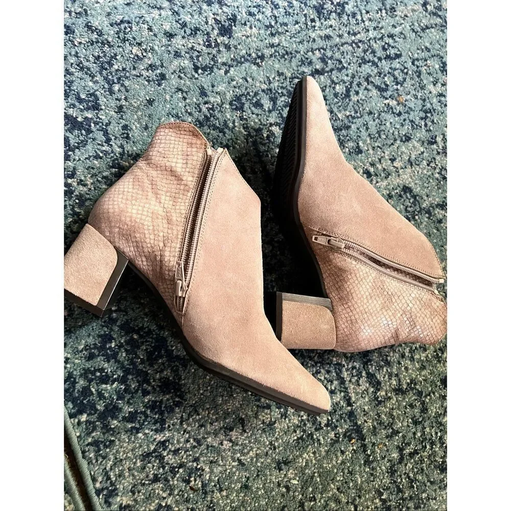 Hispanitas beige equivalent